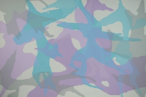 untitled-40x60-website-image_oct-2011