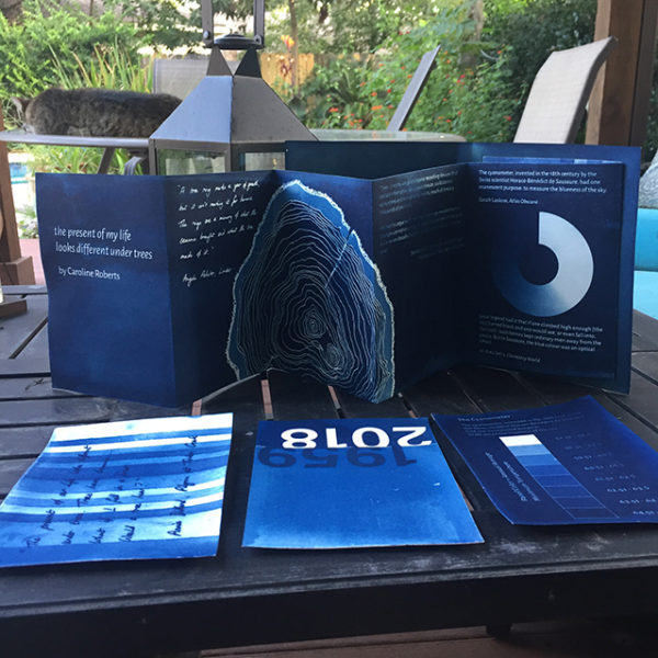 Limited edition handmade cyanotype book - Worldwide shipping